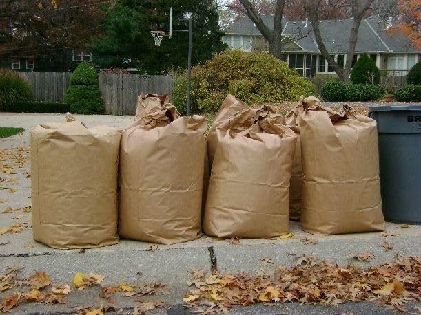 Rocky Mountain Goods Yard Waste Bags (Pack of 10) - Large 30 Gallon Brown Paper Leaf Bags for Yard, Lawn, or Garden - Environmental Friendly - Tear Resistant - Heavy Duty 2 Ply Self Standing