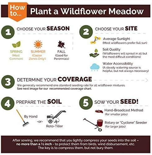 Dirt Goddess Super Seeds Northeast Wildflower Seed Mix (1/4 Lb) 250-500 sq ft Coverage