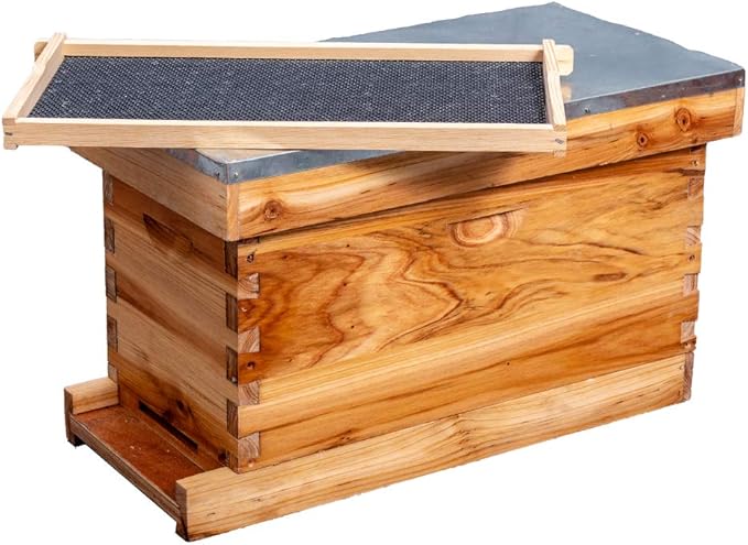 MayBee 5-Frame Nuc Beehive for Bees Complete Bee Hive Box Kit with Metal Roof Includes Wooden Frames & Waxed Foundations for Langstroth Beekeeping