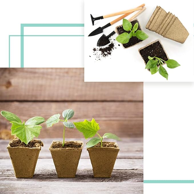 JOYSEUS 3.25" Seed Starter Pots, Organic Planting Peat Pots for Indoor Garden Seedling, 30 Pcs 100% Eco-Friendly and Biodegradable for Seed Germination