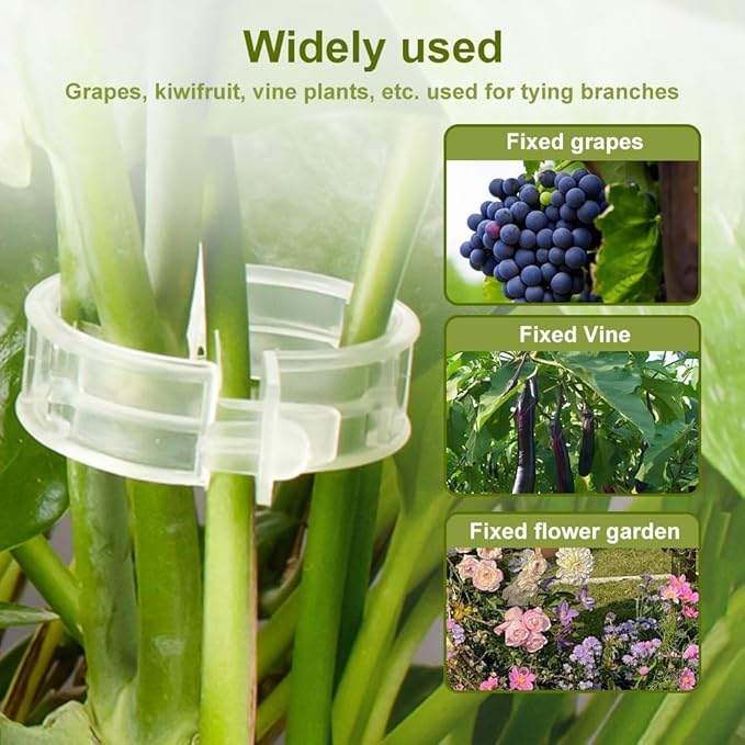50 PCS Secured Plastic Plant Clip, Plant Support Clips, Garden Clips for Climbing Plants, Plastic Trellis Clips Plant Support Clips Tomato Grape Vine Vegetables Plant Fixing Clips (50, White)