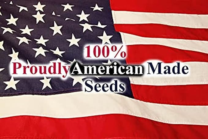 Black Duck Brand Set of 25 Marigold Crackerjack Flower Seed Packets! Flower Seeds in Bulk - Great for Creating The Garden of Your Dreams! (25, Marigold - Crackerjack)