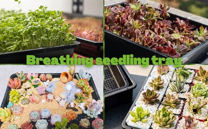 BeGrit Soil Blocking Trays 15x12 inch 5 Set/10 pcs Mesh Bottom Seed Starter Trays for Seedling, Microgreen, Soil Blocks, Wheatgrass