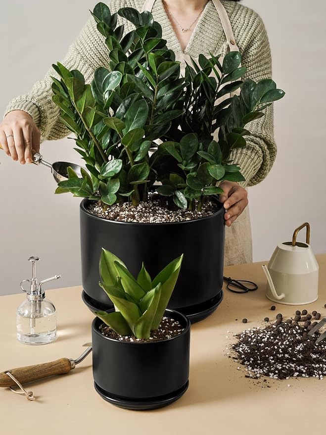 LE TAUCI Ceramic Pots for Plants, Set of 2, 10 + 12 Inch Plant Pot with Drainage Hole and Saucer, Durable & Stylish Planters for Indoor Plants, Elevate Your Home’s Aesthetic, Black
