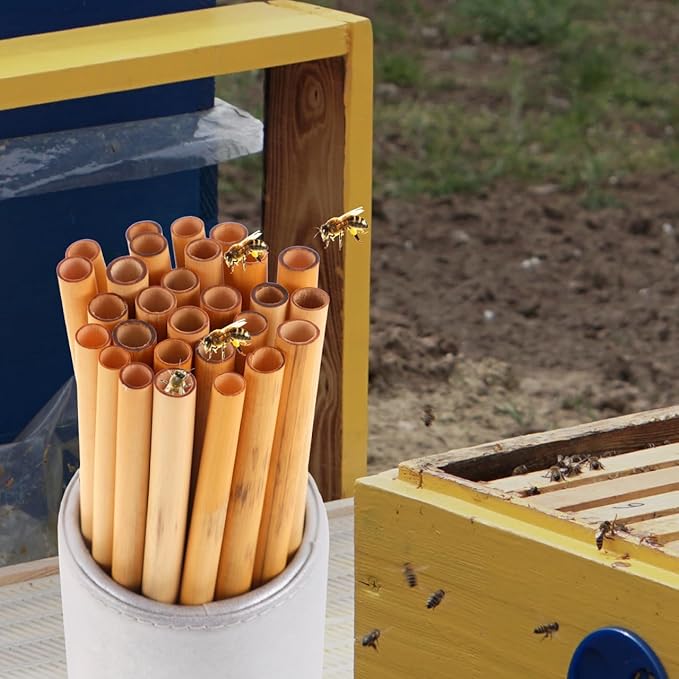 COHEALI Mason Bee Tubes 50-Pack, 7.87" Natural Reed Nesting Tubes Refills for Bee House, 7-9mm Diameter Solitary, Beehive Pollination Beekeeping Supplies for Garden