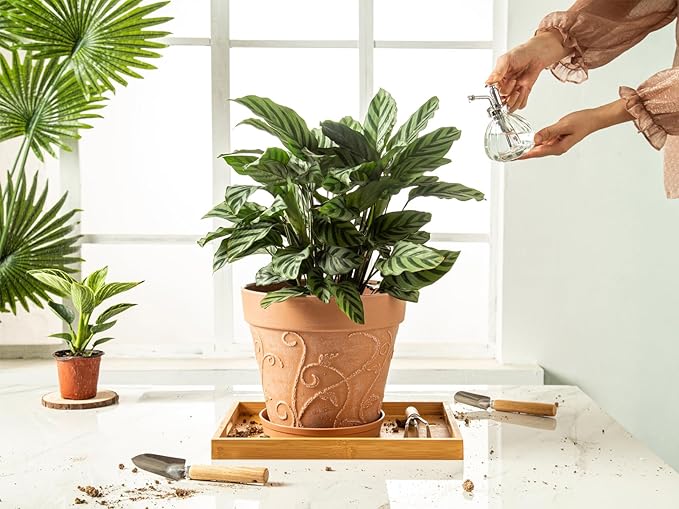 Melphoe Plant Pots Indoor with Drainage & Saucer, 2Pack 10 inch Flower Pots Outdoor Planters for Indoor Plants Garden Home Decor Cactus Succulent, Rigid Plastic (Imitation-Terracotta) Vine-Embossed