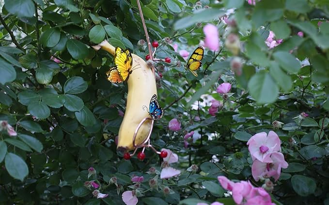 Butterfly Banana Hammock, Outdoor Insect Feeder, Hanging Metal Butterfly Attraction Device, Courtyard Garden Ornaments (1)