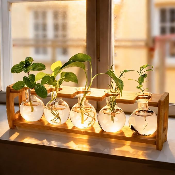 2 Pack Propagation Stations with Bamboo Stand, 8 Bulbs Desktop Water Plant Terrarium Vase, Retro Plant Propagation Jars for Indoor Plants, Glass Planter Gifts for Home Office Table Decor