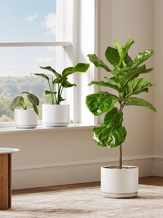 LE TAUCI Ceramic Pots for Plants, 8 Inch Plant Pot with Drainage Hole & Saucer, Modern Minimalist Planters for Indoor Plants, Round Flower Pot for Snake Plant, Monstera, Perfect for Home Decor, White
