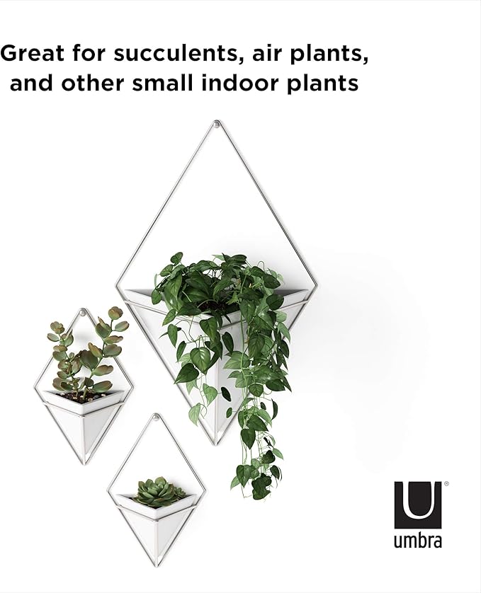 Umbra Trigg Hanging Planter Vase Wall Decor, Pot and Container for Succulents, Cactus, Faux Plants, and More, Large, White/Nickel