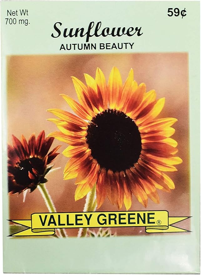 Black Duck Brand Set of 100 Flower Seed Packets! Flower Seeds in Bulk - Great for Creating The Garden of Your Dreams! (100, Autumn Beauty Sunflower)