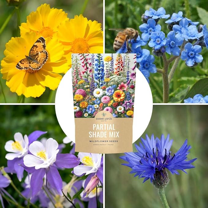 Bulk Wildflower Seeds Partial Shade Mix - 1 Pound Bag Over 120,000 Open Pollinated Annual and Perennial Seeds
