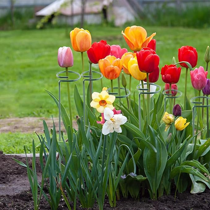 24 Inch 12 Packs Plant Support Stakes,Garden Single stemmed Plant Support Hoops, Plant Prop, for Flowers,Orchid, Tomatoes Peony Lily Rose (24 inch)