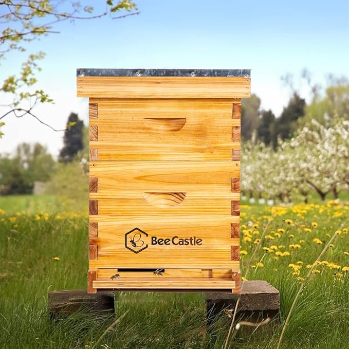 BeeCastle 8 Frame Langstroth Bee Hive Coated with Beeswax Includes Beehive Frames and Waxed Foundations (1 Deep Box & 1 Medium Box)