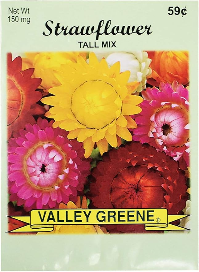 Set of Flower Seed Packets! Flower Seeds in Bulk - Great for Creating The Garden of Your Dreams! (200, Strawflower - Tall Mix)
