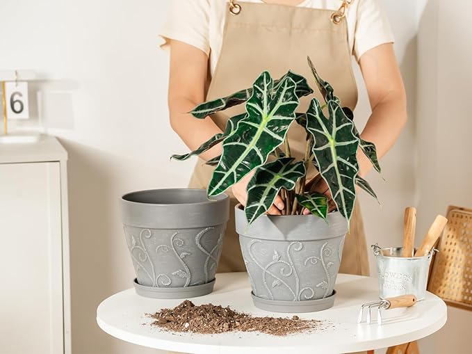 Melphoe Plant Pots Indoor with Drainage & Saucer, 2Pack 8 inch Flower Pots Outdoor Planters for Indoor Plants Garden Home Decor Cactus Succulent, Rigid Plastic (Imitation-Terracotta) Vine-Embossed