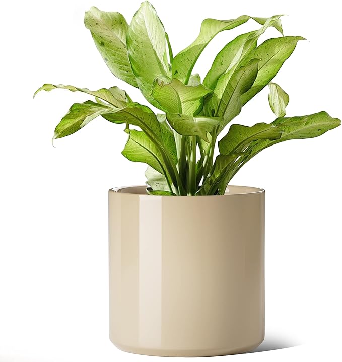 LE TAUCI 12 Inch Pot for Plants, Ceramic Planters for Indoor Plants, Mid-Century Modern Cylinder Flower Pots with Drainage Hole, Fits Fiddle Leaf Fig & Monstera, Home Decor, Sand Beige