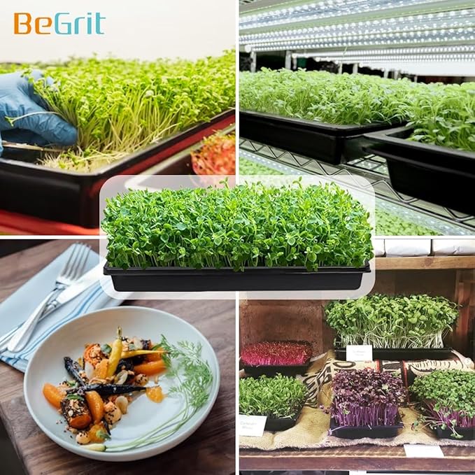 BeGrit 1020 Trays Thickened Nursery Plant Trays Seedling Tray Seed Starter Tray Microgreen Growing Tray No Drain Holes -10 Pack