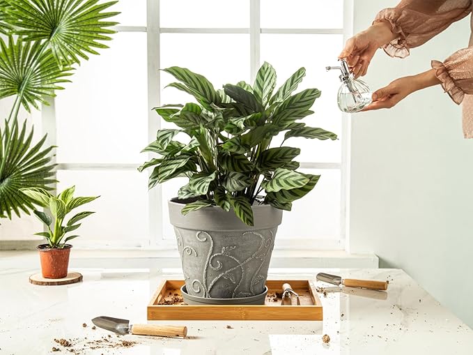 Melphoe Plant Pots Indoor with Drainage & Saucer, 2Pack 10 inch Flower Pots Outdoor Planters for Indoor Plants Garden Home Decor Cactus Succulent, Rigid Plastic (Imitation-Terracotta) Vine-Embossed