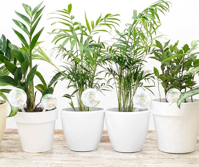 6Pcs Plant Watering Globes,Iridescent Rainbow Glass Self Watering Planter Insert,Clear Watering Bulbs for Indoor,Outdoor,Flowerpot,Hanging Plants,Home Garden(3 Large+3 Small)