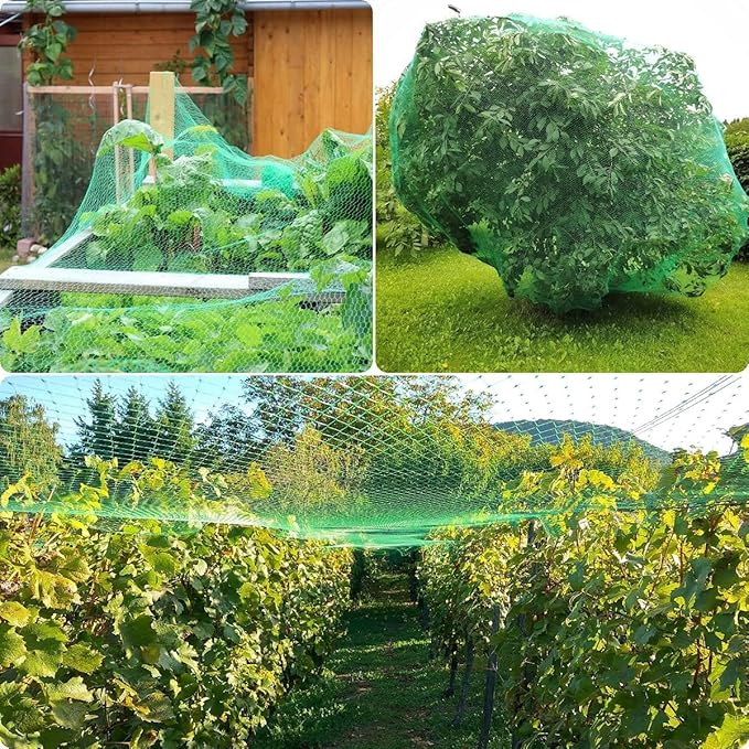 Bird Netting for Garden, 13Ft x 33Ft Green Anti Bird Protection Net, Plant Tree Netting for Protecting Fruit and Vegetables with 50 Ties and 20 Tacks