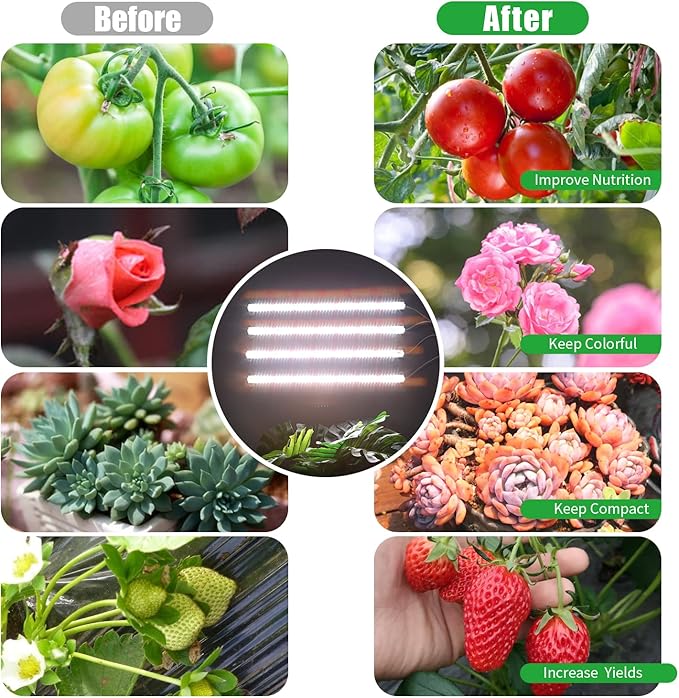 Grow Lights for Indoor Plants, 13" Grow Light Strips with Timer 3/9/12 H, 10 Dimmable Levels, 192 LEDs Full Spectrum Sunlight,Plant Growing Lamp for Indoor Greenhouse Seedlings, 4 Head