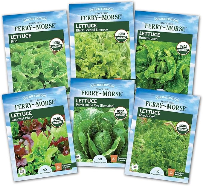 Jiffy Plant Germination Kit - Seed Starter Tray with Lettuce Seeds, 36 Cell, 2 Pack - Plastic