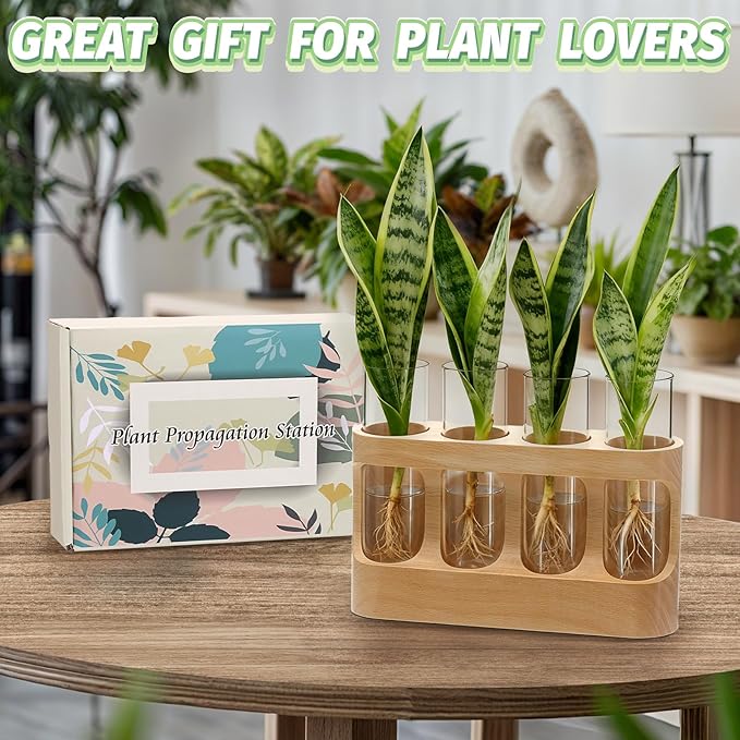 Plant Propagation Station with Wood Stand, Glass Terrarium for Hydroponics Live Plants Christmas Gifts Gardening Gifts for Women Mom 3 Lighting Modes 9 Brightness Levels Home Indoor Decor Unique