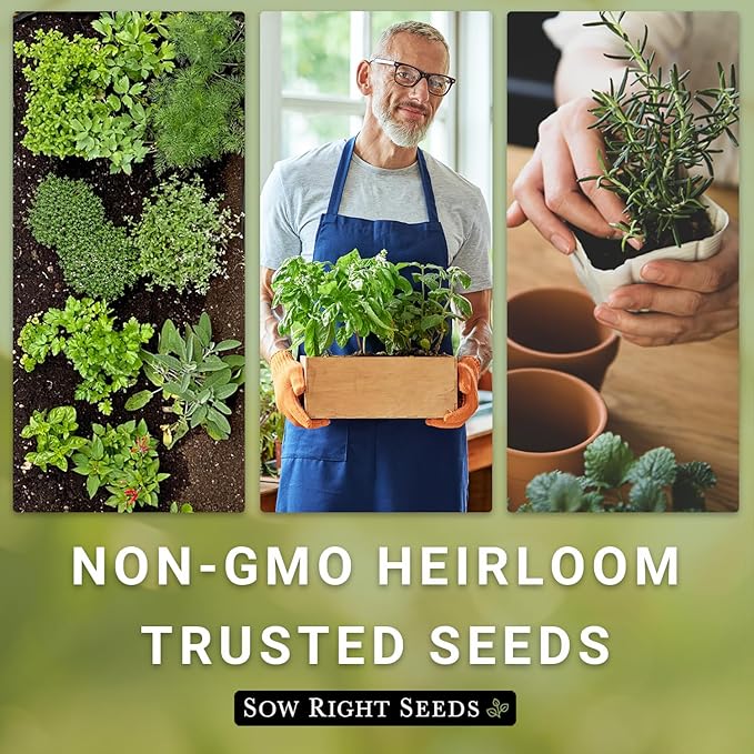 Sow Right Seeds - Bergamot (Bee Balm) Flower Seeds for Planting - Beautiful Flowers to Plant in Your Home Garden - Non-GMO Heirloom Packet with Instructions - Native Wildflower and Medicinal Herb (1)