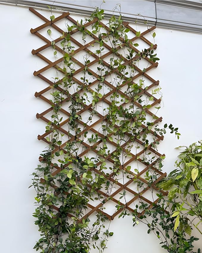 2Pack 47.2Inch Wooden Lattice Wall-Expandable Plant Garden Trellis for Climbing Plants Outdoor