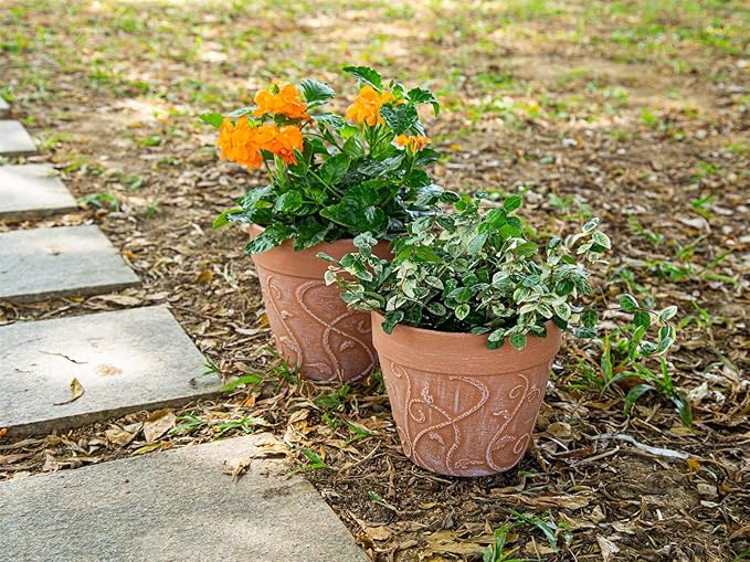Melphoe Plant Pots Indoor with Drainage & Saucer, 2Pack 7/8 inch Flower Pots Outdoor Planters for Indoor Plants Garden Home Decor Cactus Succulent, Rigid Plastic (Imitation-Terracotta) Vine-Embossed