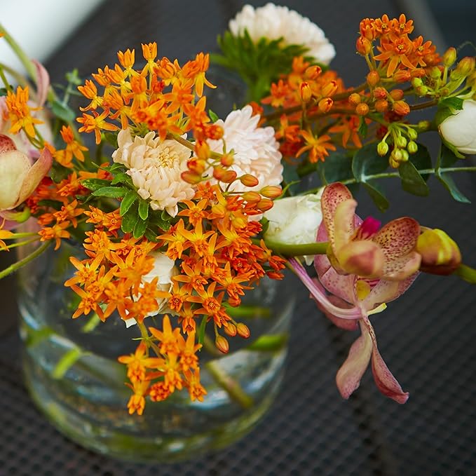 The Old Farmer's Almanac Butterfly Milkweed Flower Seeds - Premium Non-GMO, Open Pollinated, USA Origin (1 Packet - 400 MG - Approx 40 Seeds)
