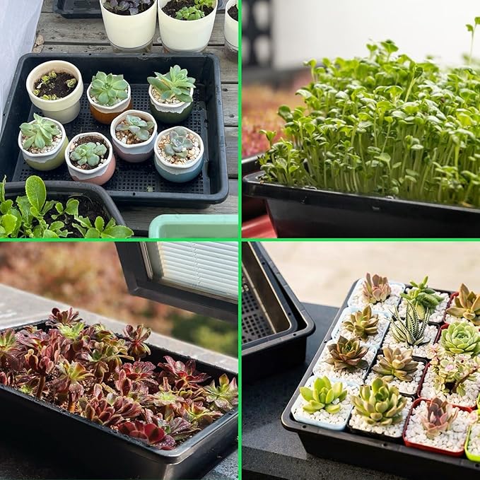 BeGrit Soil Blocking Trays 15x12 inch Seed Starter Trays 5 Pack Mesh Trays for Seedling, Microgreen, Soil Blocks, Wheatgrass