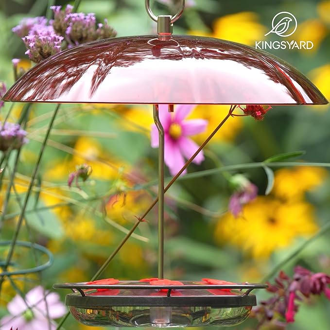 Kingsyard 12 oz Hummingbird Feeder with Rain Guard Dome, Leak-Proof Saucer Nectar Feeder for Outdoors Hanging, Built-in Ant Moat & 6 Bee-Proof Ports, Easy to Refill & Clean, Black