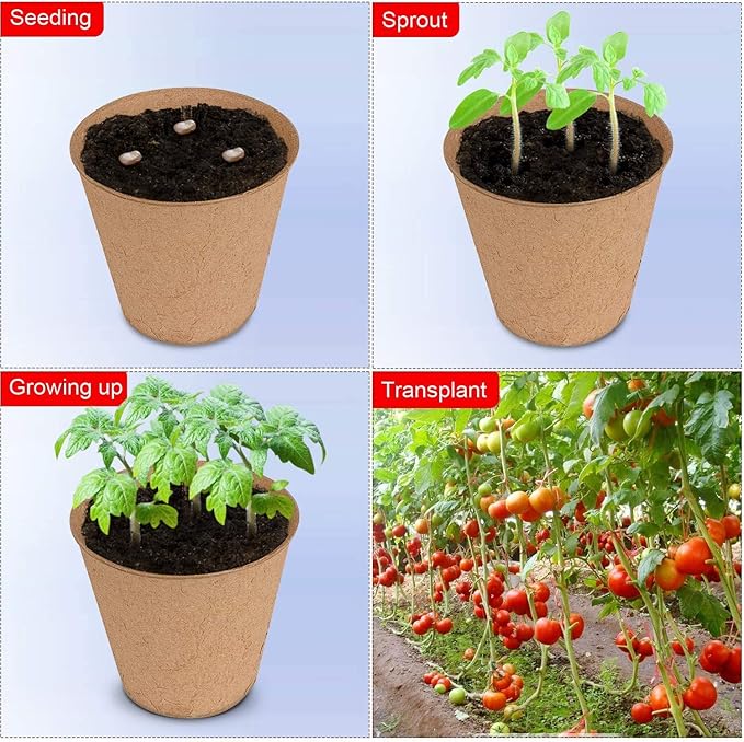 Biodegradable Peat Pots Set (2 Packs of 10 Pots)