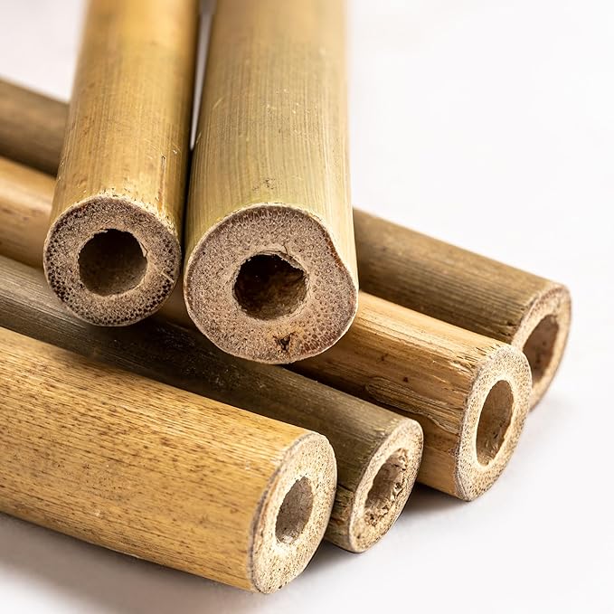 Rivajam 125 Bamboo Sticks for Crafts Supplies | Bamboo Craft Sticks & Mason Bee Tubes for Mason Bee House | Bamboo Reed Mason Bee Straws for Solitary Bee Box, Bee Hotel & Pollinator Gardens