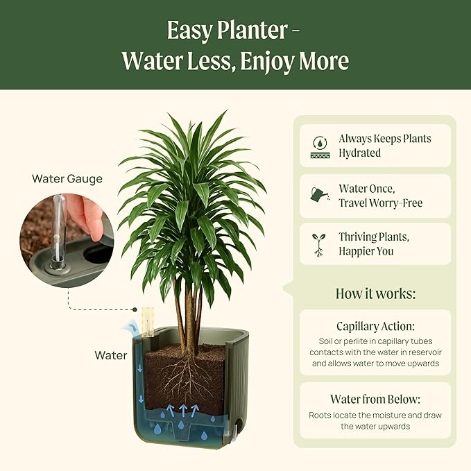 15 Inch Self-Watering Planter for Indoor Plants – Large Modern Plant Pot with Built-In Water Reservoir, Ideal for Monstera, Fiddle Leaf Fig, Palms & Peace Lily, Without Trellis, Twin Pack, Cream White