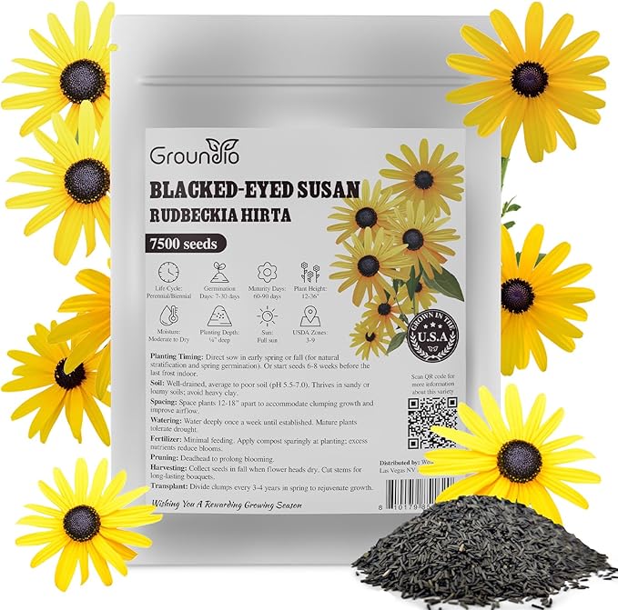 Black Eyed Susan Seeds, 7500+ Perennial Flower Seed to Plant Indoor & Outdoor, Attract Pollinators | Non-GMO | Heirloom Wildflowers Seeds, USDA Zone 3-9
