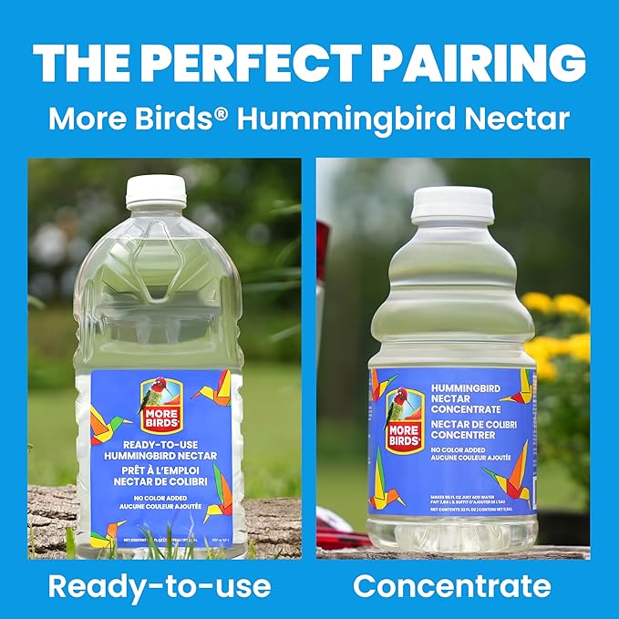 More Birds Bird Health+ Ruby Hummingbird Feeder, Glass Hummingbird Feeders for Outdoors, 4 Feeding Stations, 10 Ounces, Ruby Red