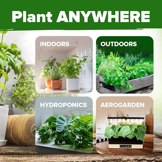 HOME GROWN Herb Seeds for Planting 15-Pack Massive Seed Count 5,100+ Seeds Non-GMO Heirloom | Extra Large | Culinary Herb Kit, Indoor Outdoor & Hydroponic | Grow Your Own Herbs | Gardening Gift