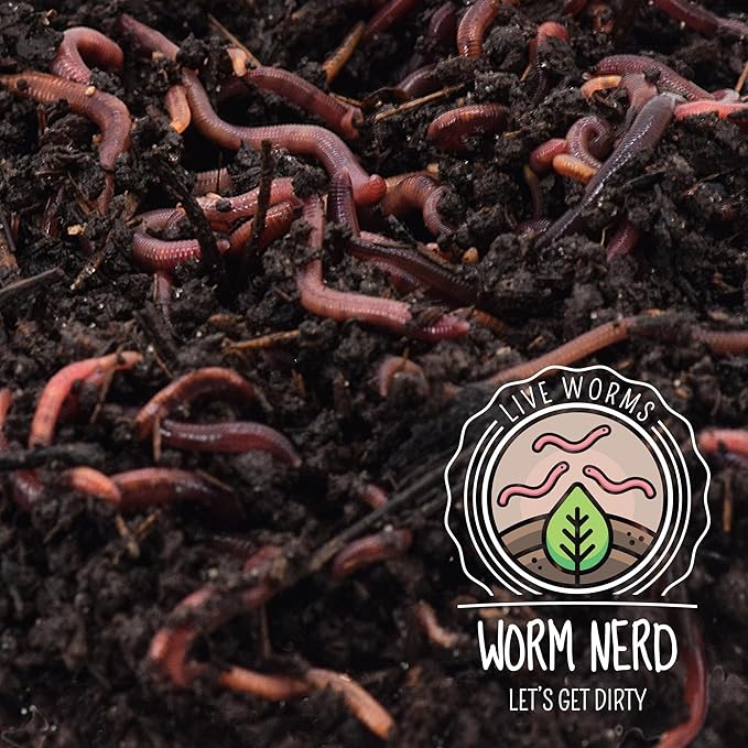Worm Nerd Composting Worms – Live Red Wriggler Compost Worms Mix – Sustainable Compost Worms Live for Organic Materials - Worm Composting Set for Better Soil Structure 100 Worms *CANNOT SHIP TO HAWAII