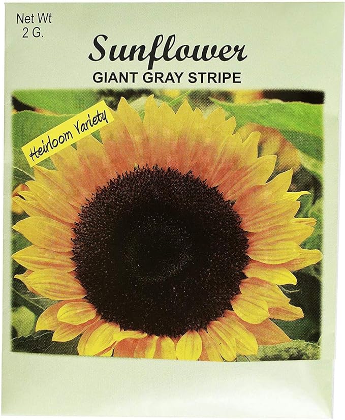 Set of 50 Flower Seed Packets! Flower Seeds in Bulk - Great for Creating The Garden of Your Dreams! (50, Sunflower - Giant Gray Stripe)