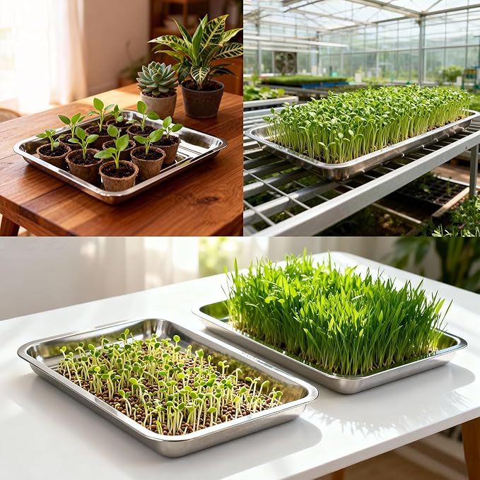 10-Pack 16 Inch Stainless Steel Growing Trays, Heavy-Duty Metal Sprouting Tray for Plants, Stainless Steel Plant Germination Trays for Hydroponics, Transplanting (Silver)