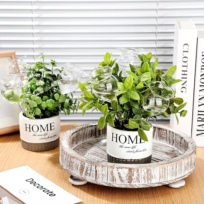 Yungyan 6 Pcs Self Watering Plant Globes Glass Cactus Insert Watering Devices Automatic Plant Watering Bulbs Water Globes for Indoor Outdoor Plants(Clear Tulip,5.31 Inch)