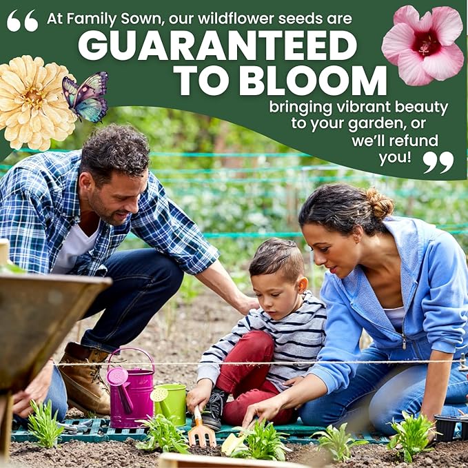 Shade Tolerant Mix – 2,500 Wildflower Seeds for Pollinator Gardens – 2026 Season – 5-Gram Pouch
