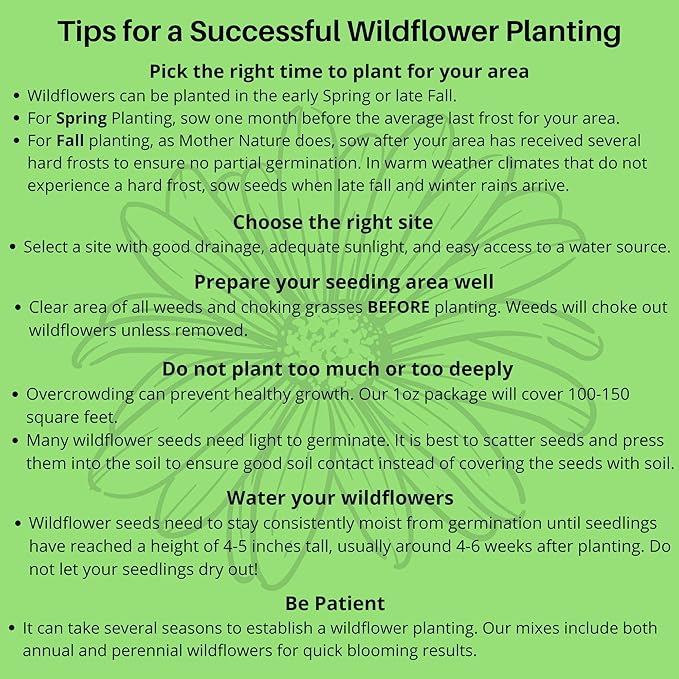 BBB Seed Partial Shade Wildflower Seeds 4oz - Open-Pollinated Wildflower Seed Mix Packet, No Fillers, Annual, Perennial Wildflower Seeds for Planting Year Round, 1/4 Pound
