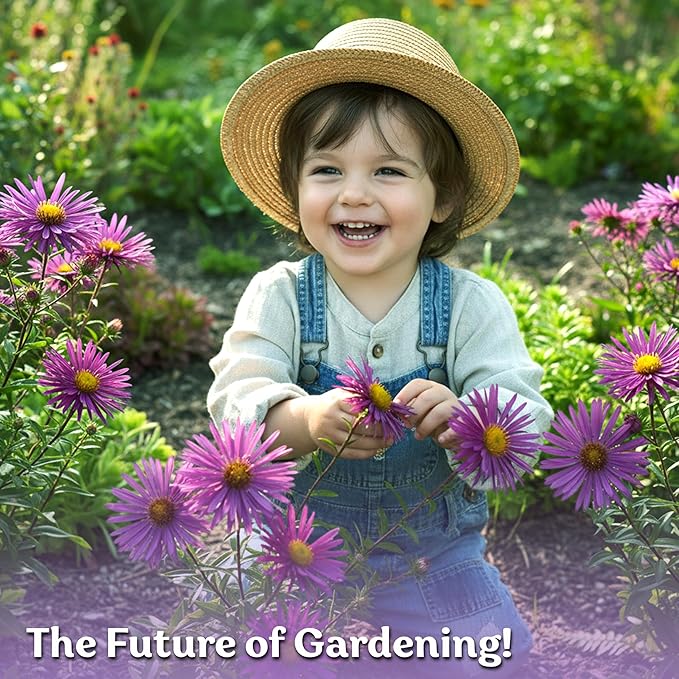 KVITER 600 New England Aster Seeds for Planting (Aster novae-angliae) – Purple Asters Plant Wildflower Seed Packets – Perennial Cut Flower Seeds, Purple Flower Garden, Flowers Beds, Containers