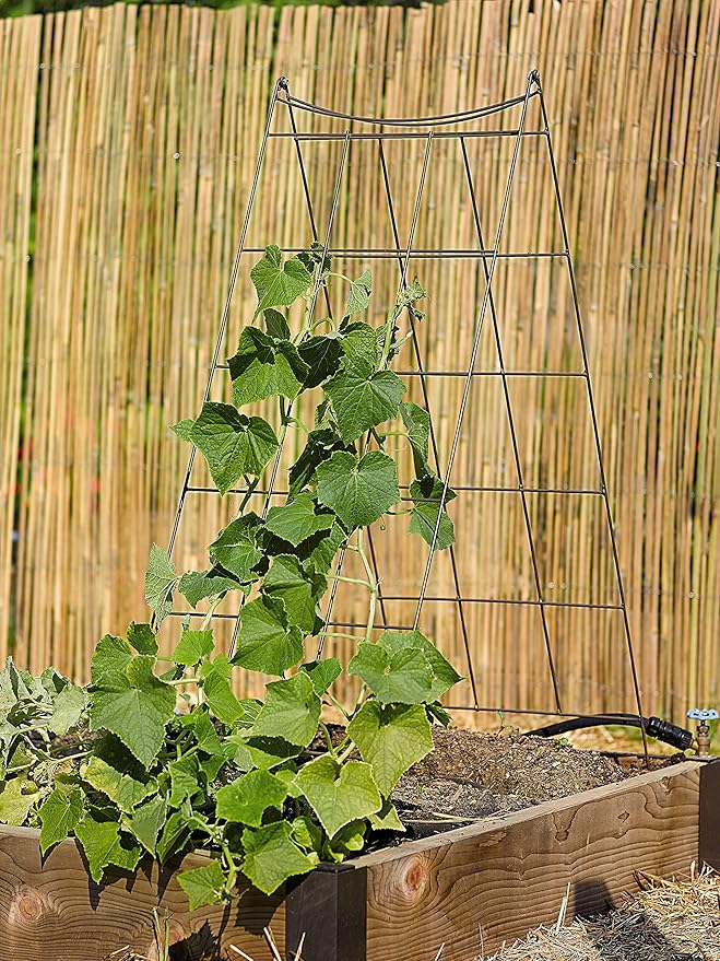 Gardeners Supply Company Wire A-Frame Trellis | Strong and Sturdy Metal Outdoor Garden Trellis Plant Support for Cucumbers, Squash, Vine Herbs & Other Climbing Plants