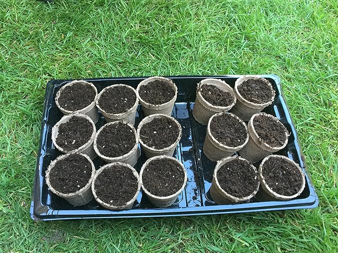 Jiffy-Pots Organic Seed Starting 2" Biodegradable Peat Pots, 26 Pack