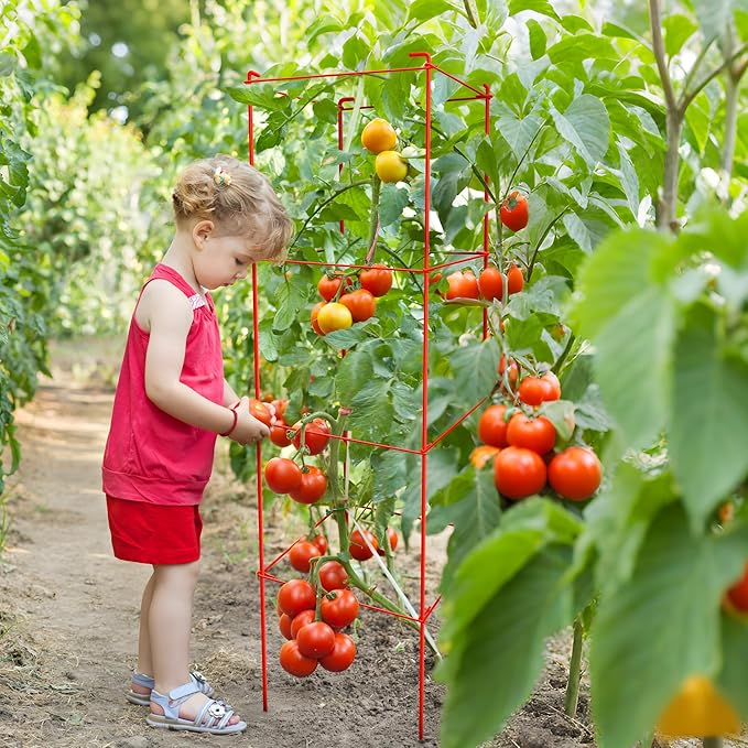 How to Support Climbing Plants and Maximize Your Garden Space